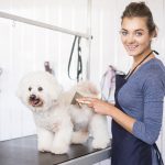 Dog Grooming Tips – Daily Dog Care Series