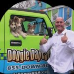 An Essential Guide To Detroit Pet Taxi Service