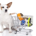 Wholesale Pet Suppliers: A Guide for Pet Parents
