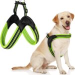 Comprehensive Guide To Choosing The Perfect Mesh Dog Harness
